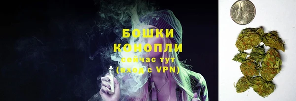 spice Аркадак