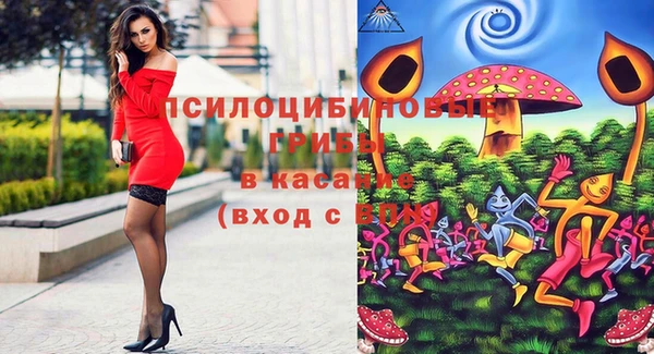 прущие крисы Арсеньев